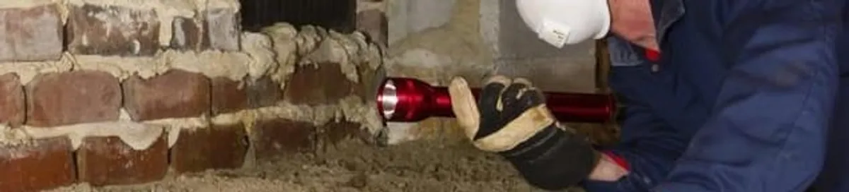 Pest control technician inspecting a crawl space for ant activity and entry points in Bradenton, FL