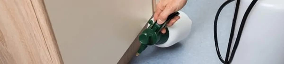 Bed bug exterminator treating baseboards and cracks with targeted spray in Bradenton, FL