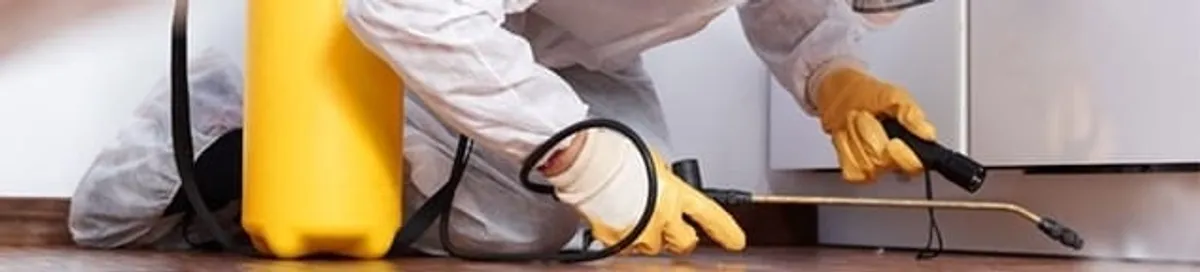 Roach exterminator treating cracks and crevices along kitchen baseboards in Bradenton, FL