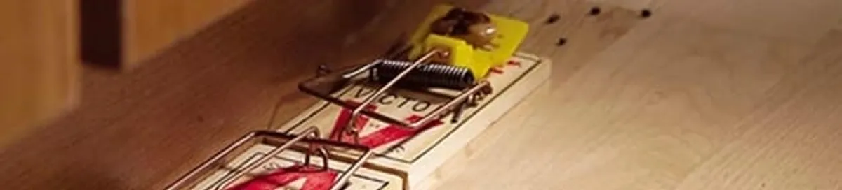 Rodent trap set indoors for rodent control and prevention in Bradenton, FL